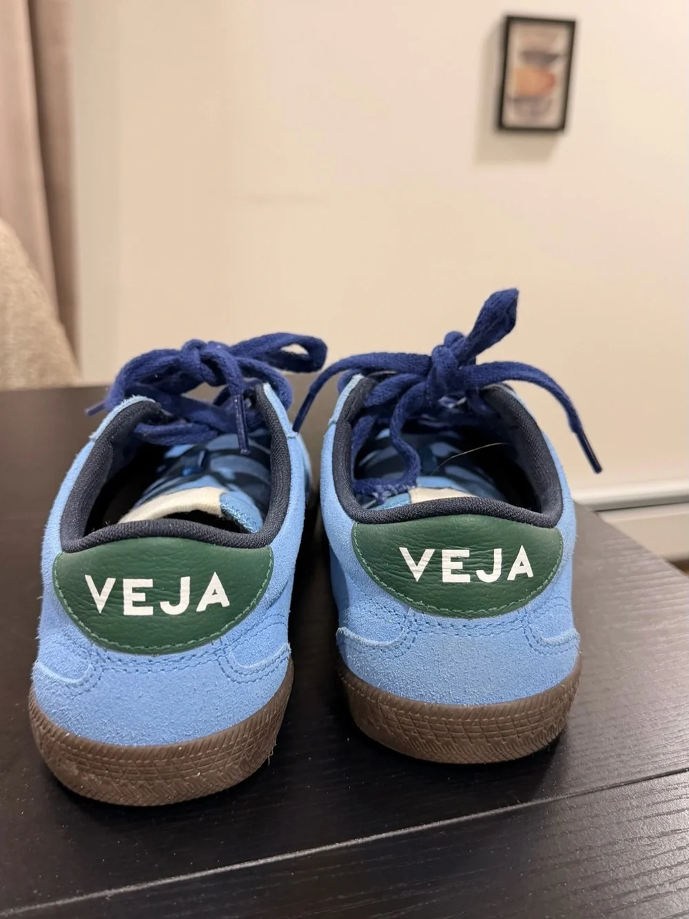 Veja Kids Light Blue Suede Sneakers with Red V